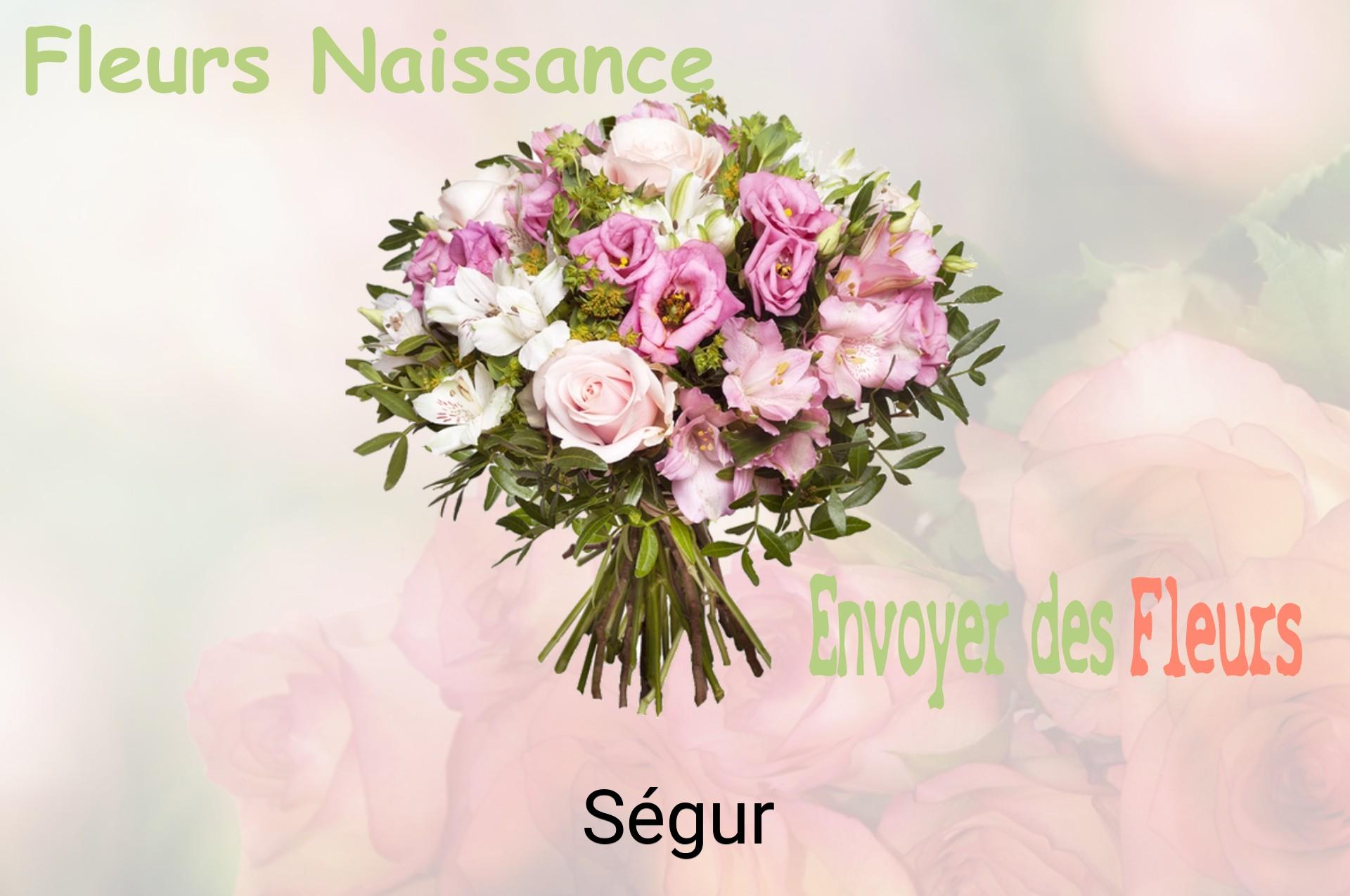 Bouquet de fleurs de naissance livré à Ségur