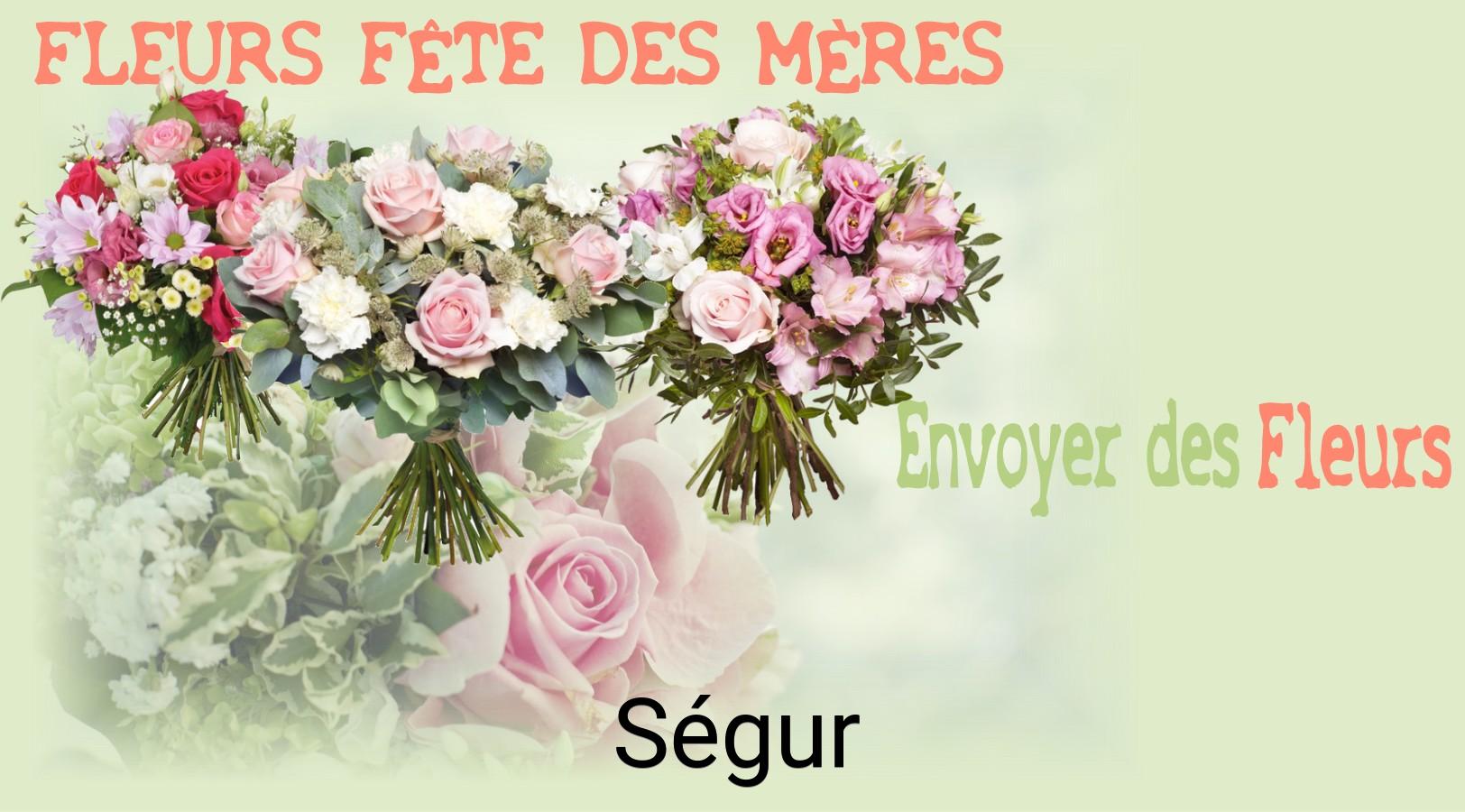 Bouquet de Fête des Mères livré à Ségur